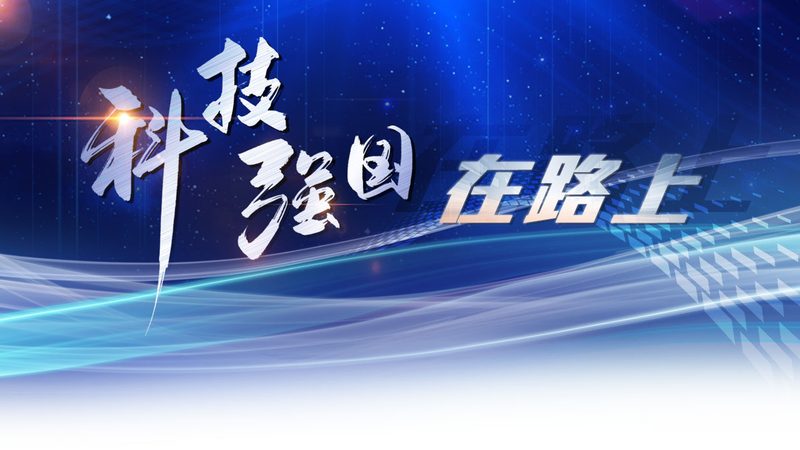 杭州智能客服解决方案：构建高效客户服务新范式